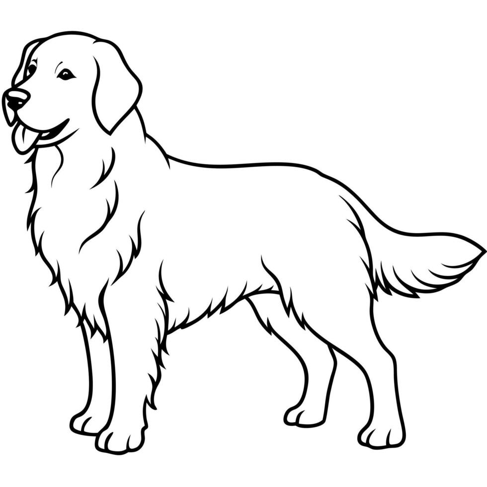 English Cream Retriever dog stands icon vector