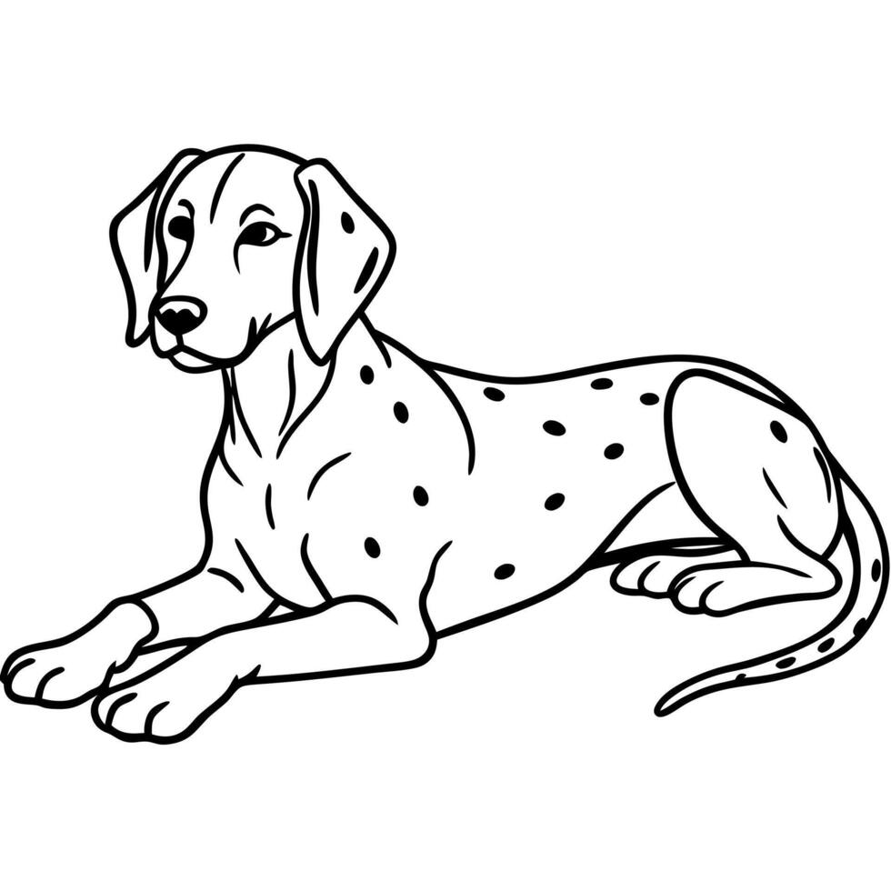 English Pointer dog lies icon vector