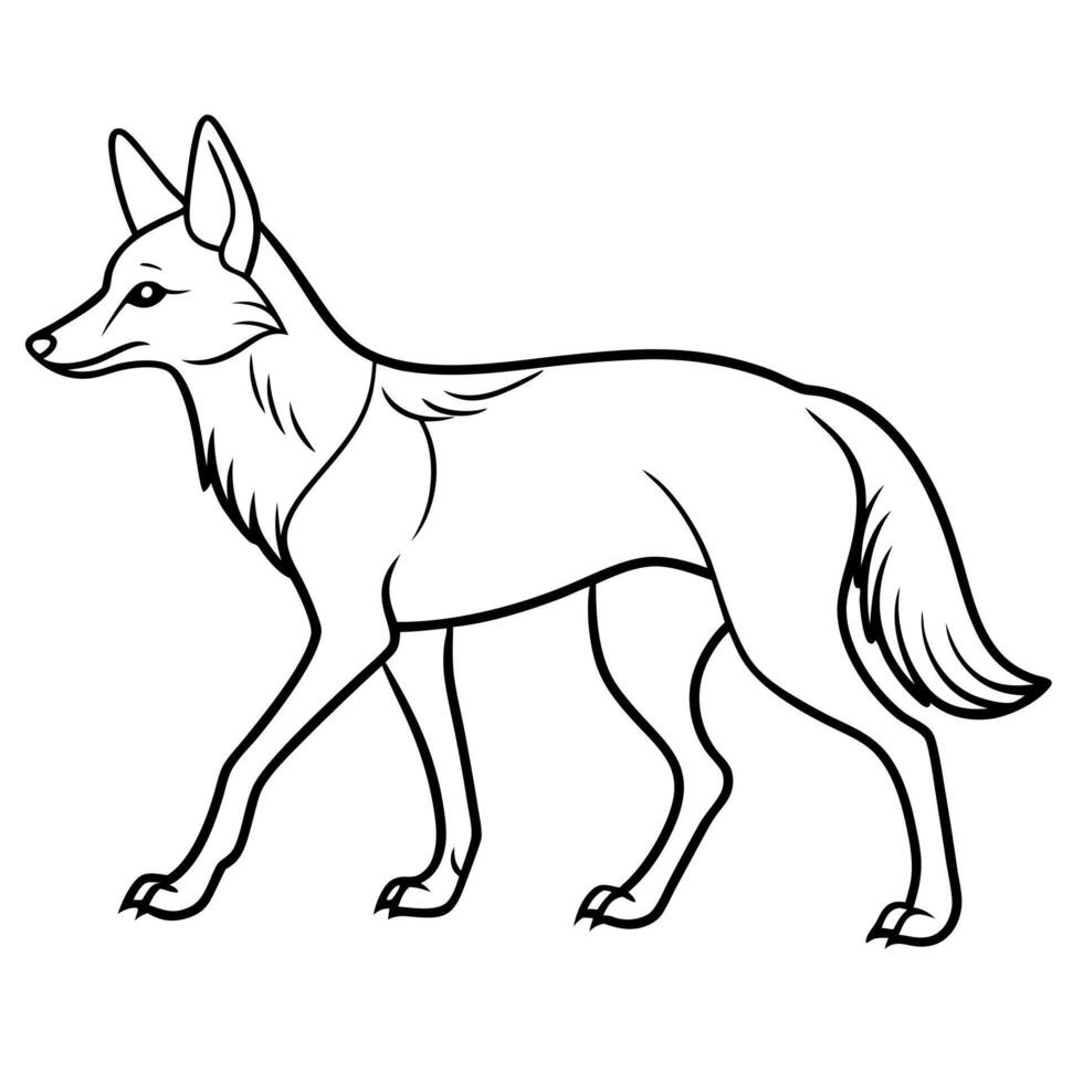 Ethiopian Wolf walks icon vector