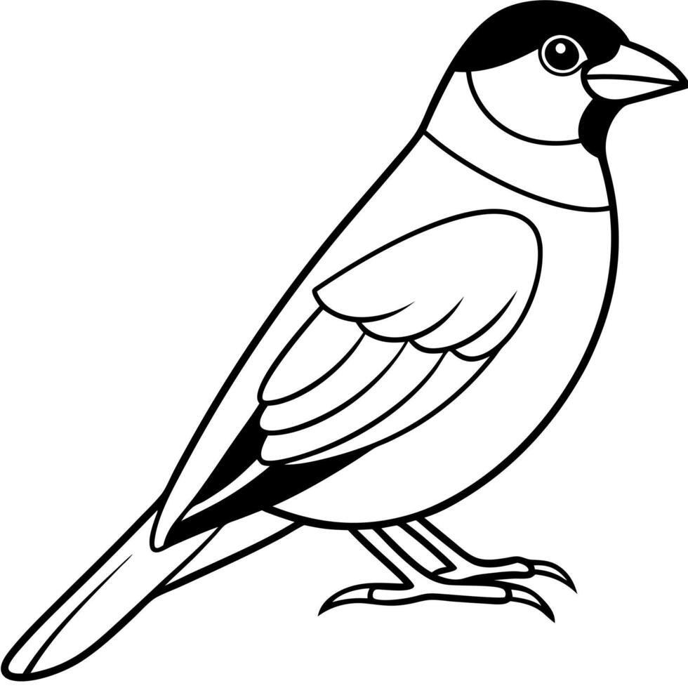 Eurasian Bullfinch bird sits icon vector