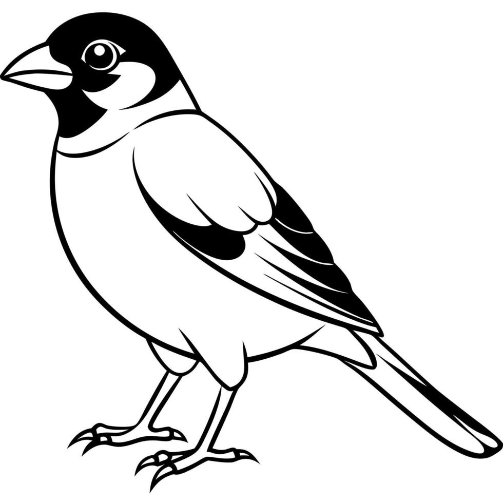 Eurasian Bullfinch bird smiles icon vector