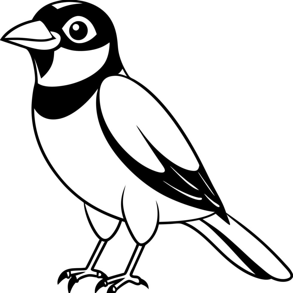 Eurasian Jay bird smiles icon vector
