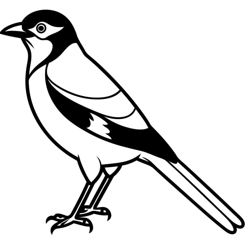 Eurasian Jay bird stands icon vector
