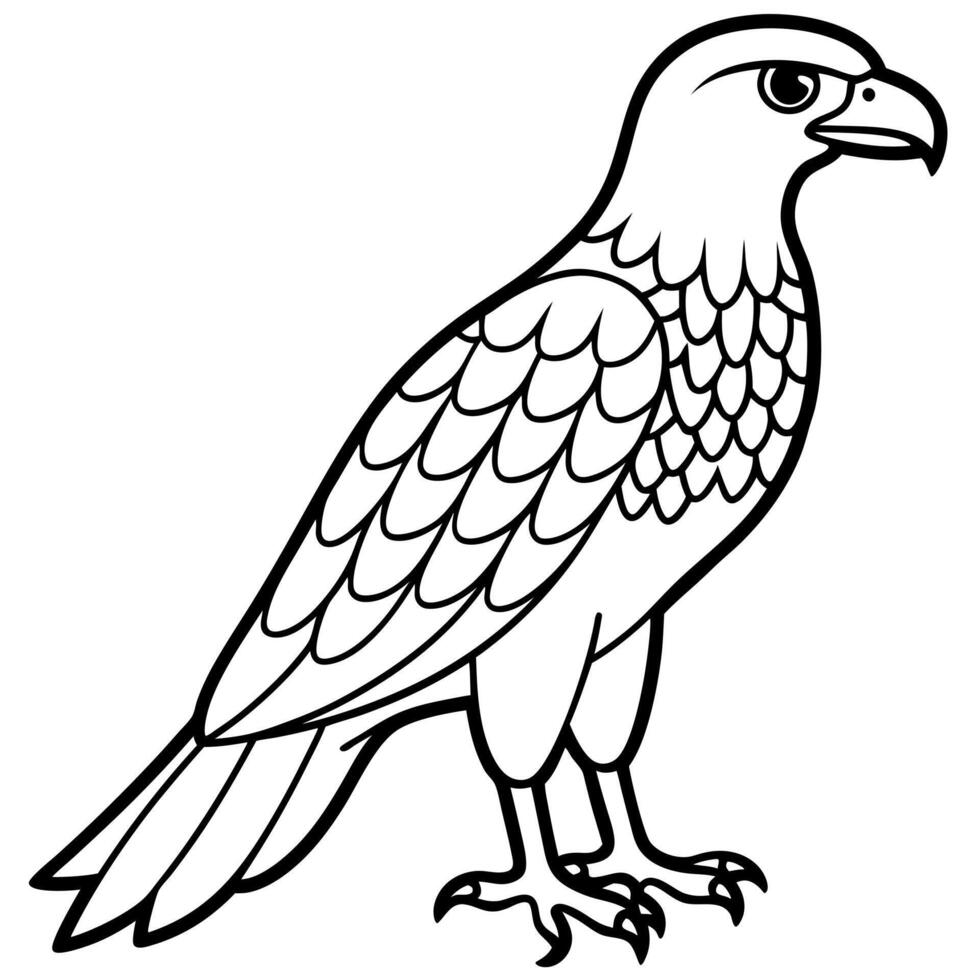 Eurasian Jay bird swims icon vector