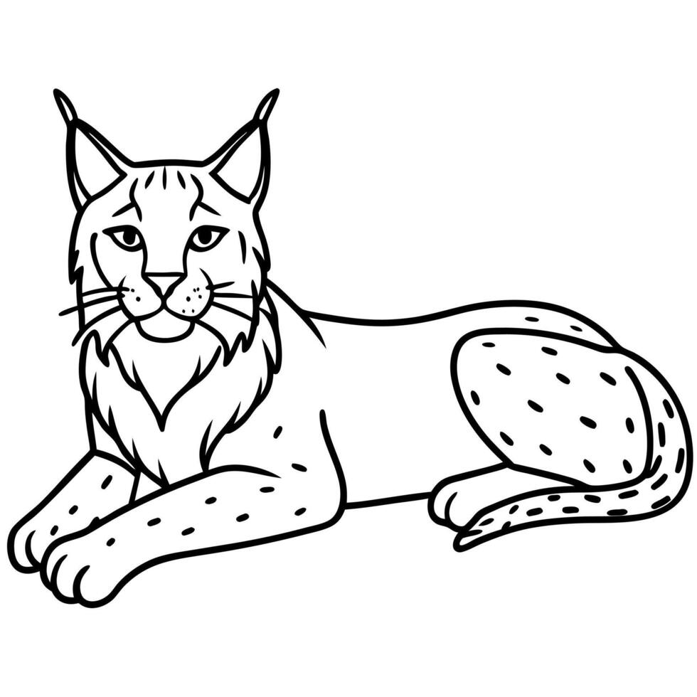 Eurasian Lynx lies icon vector