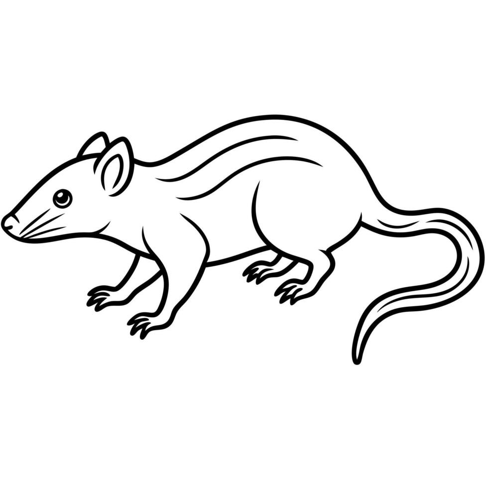 Eurasian Water Shrew rodent runs icon vector
