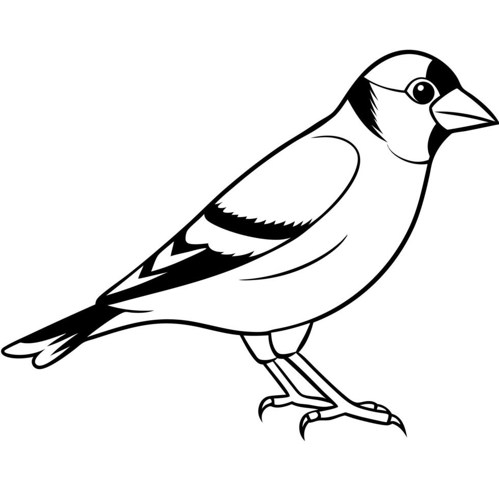 European Goldfinch bird runs icon vector