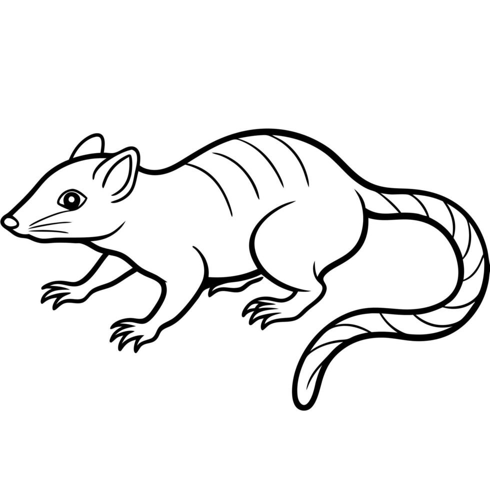 European Hare swims icon vector