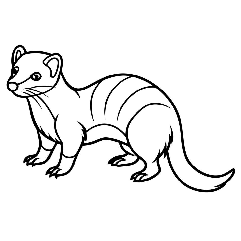 European Polecat Rodent Stands Icon 47933541 Vector Art At Vecteezy