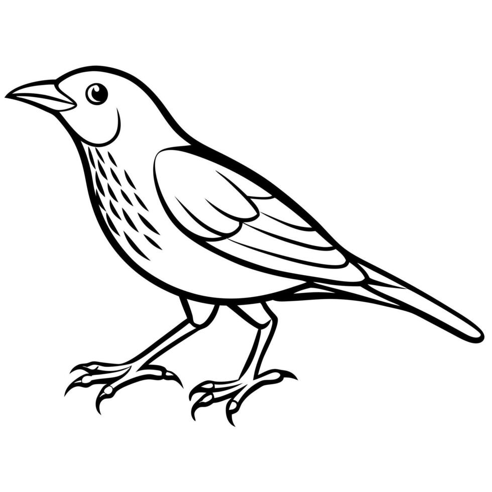 European Starling bird runs icon vector