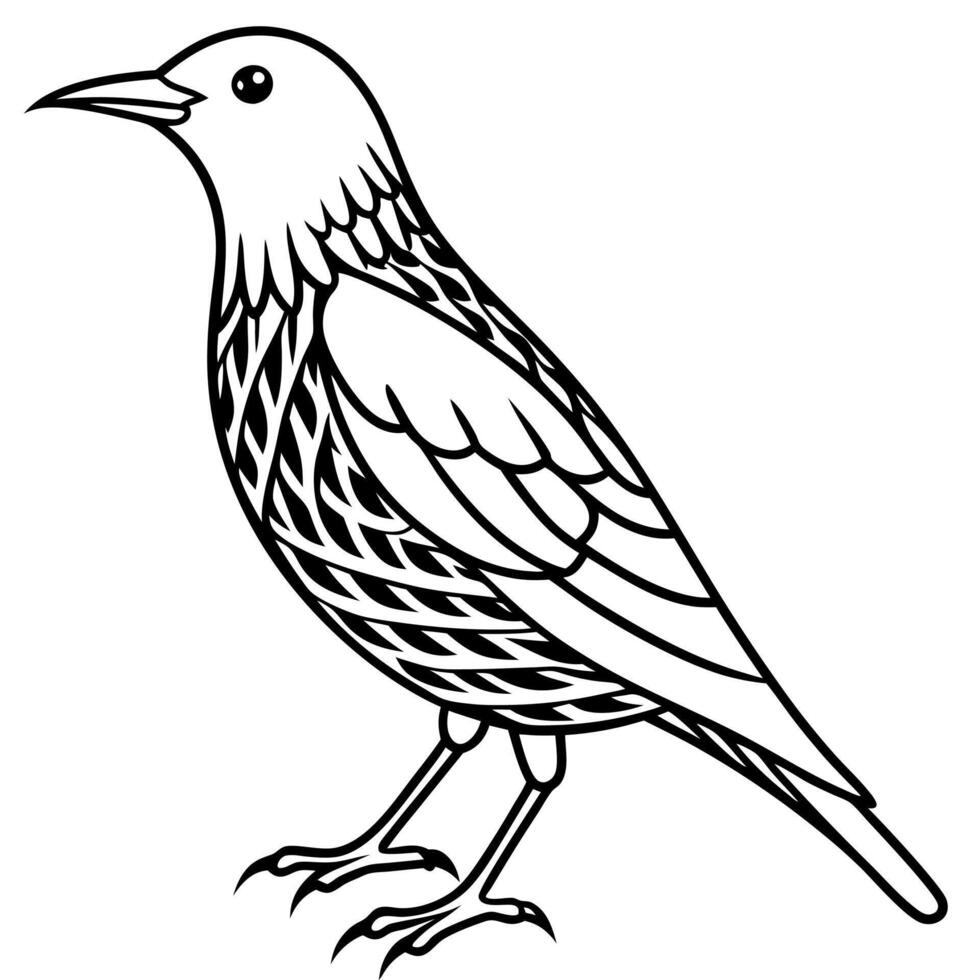 European Starling bird stands icon vector