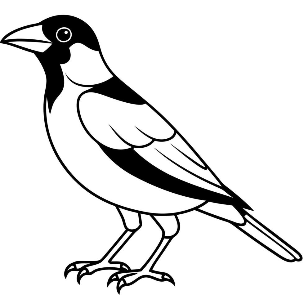 Evening Grosbeak bird stands icon vector