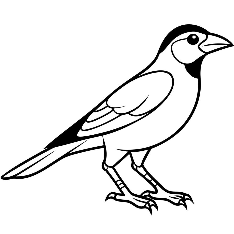 Evening Grosbeak bird walks icon vector
