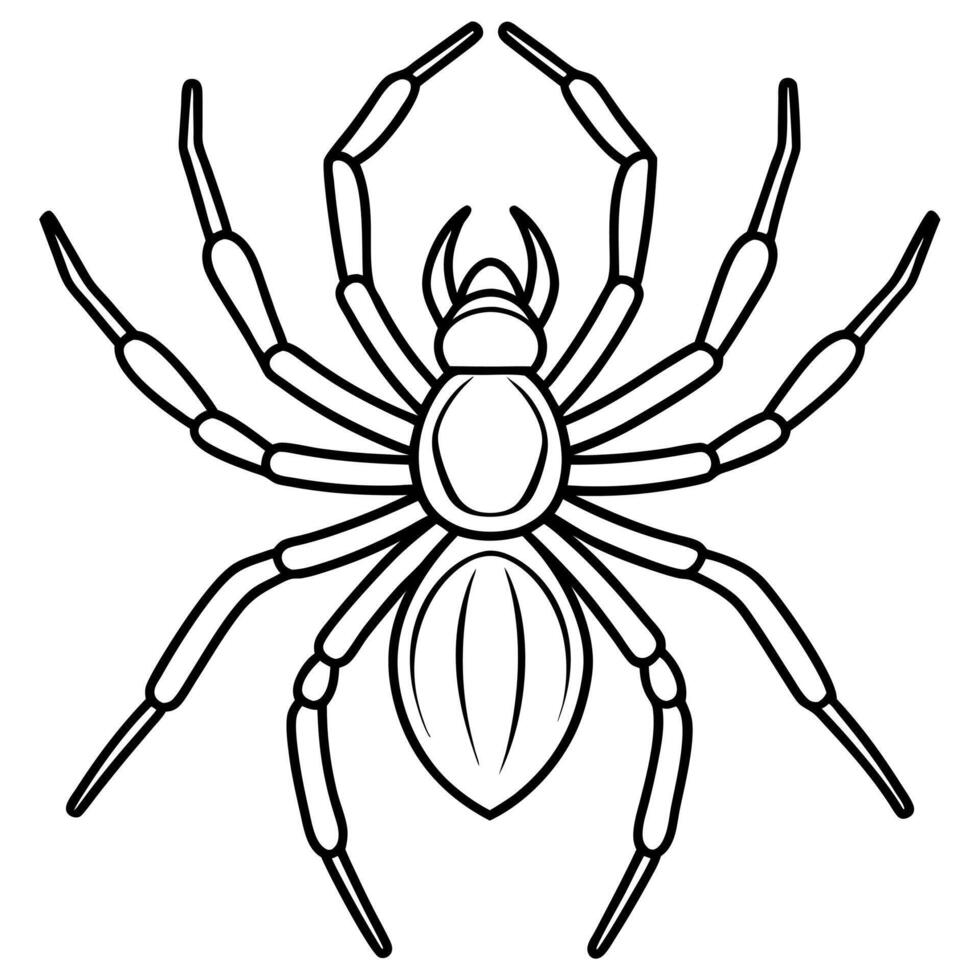 False Black Widow Spider sits icon vector