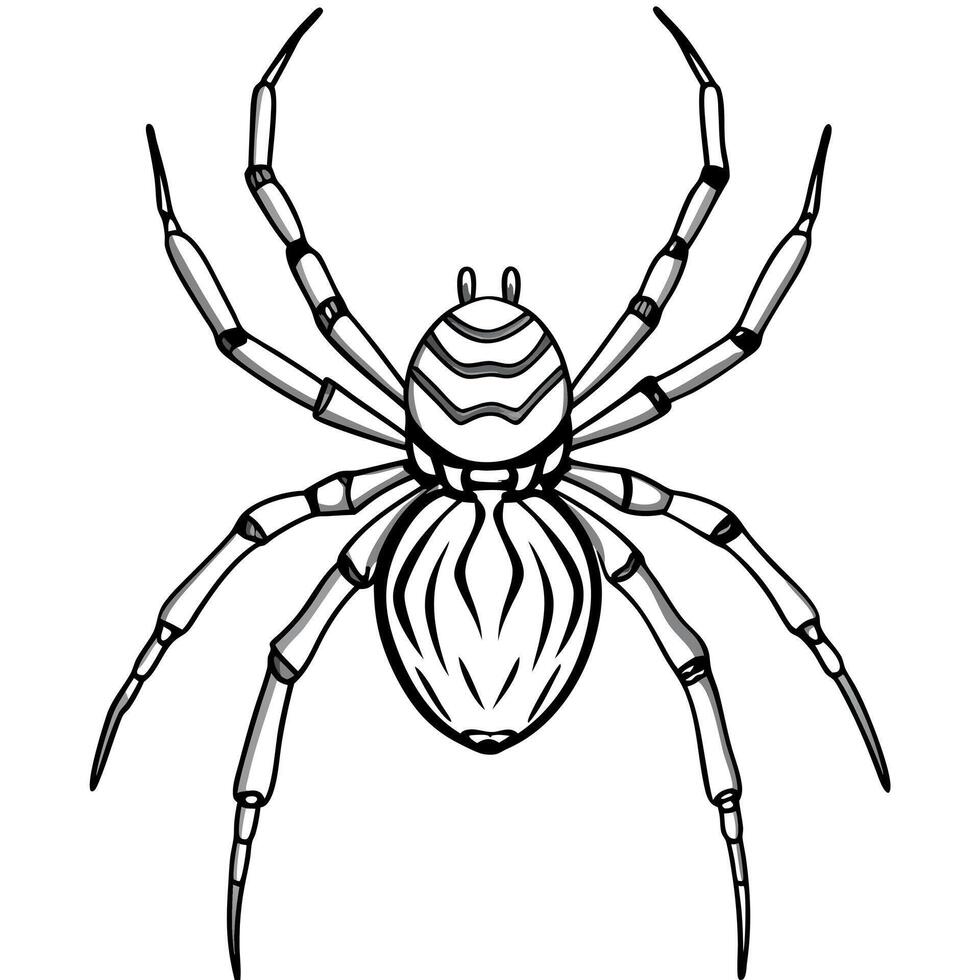 False Widow Spider stands icon vector