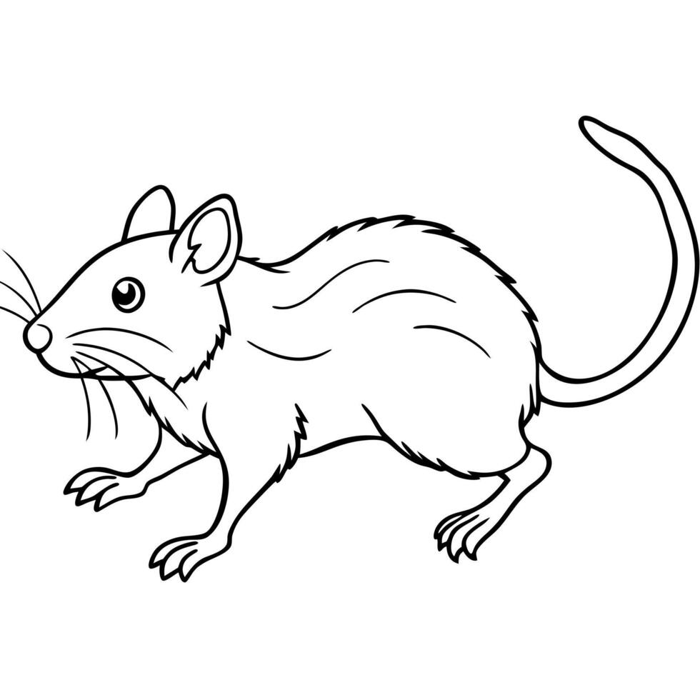 Field Vole rodent runs icon vector