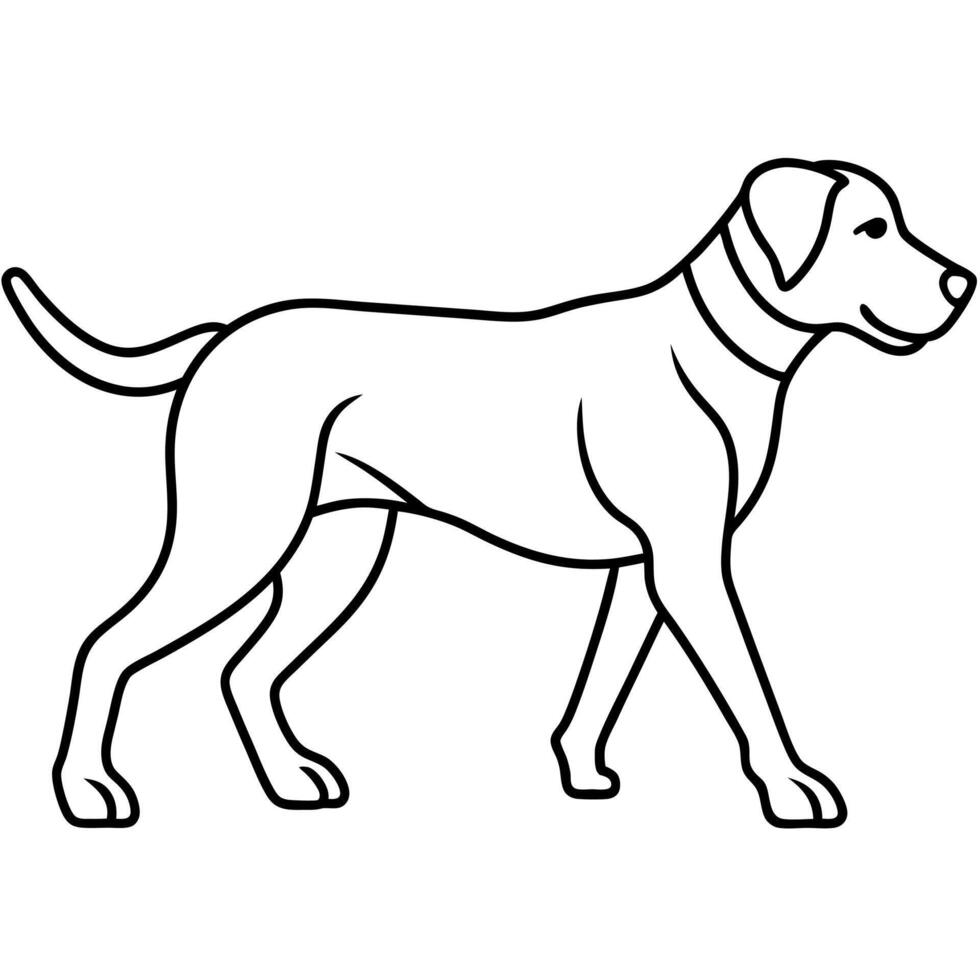 Fila Brasileiro dog walks icon vector