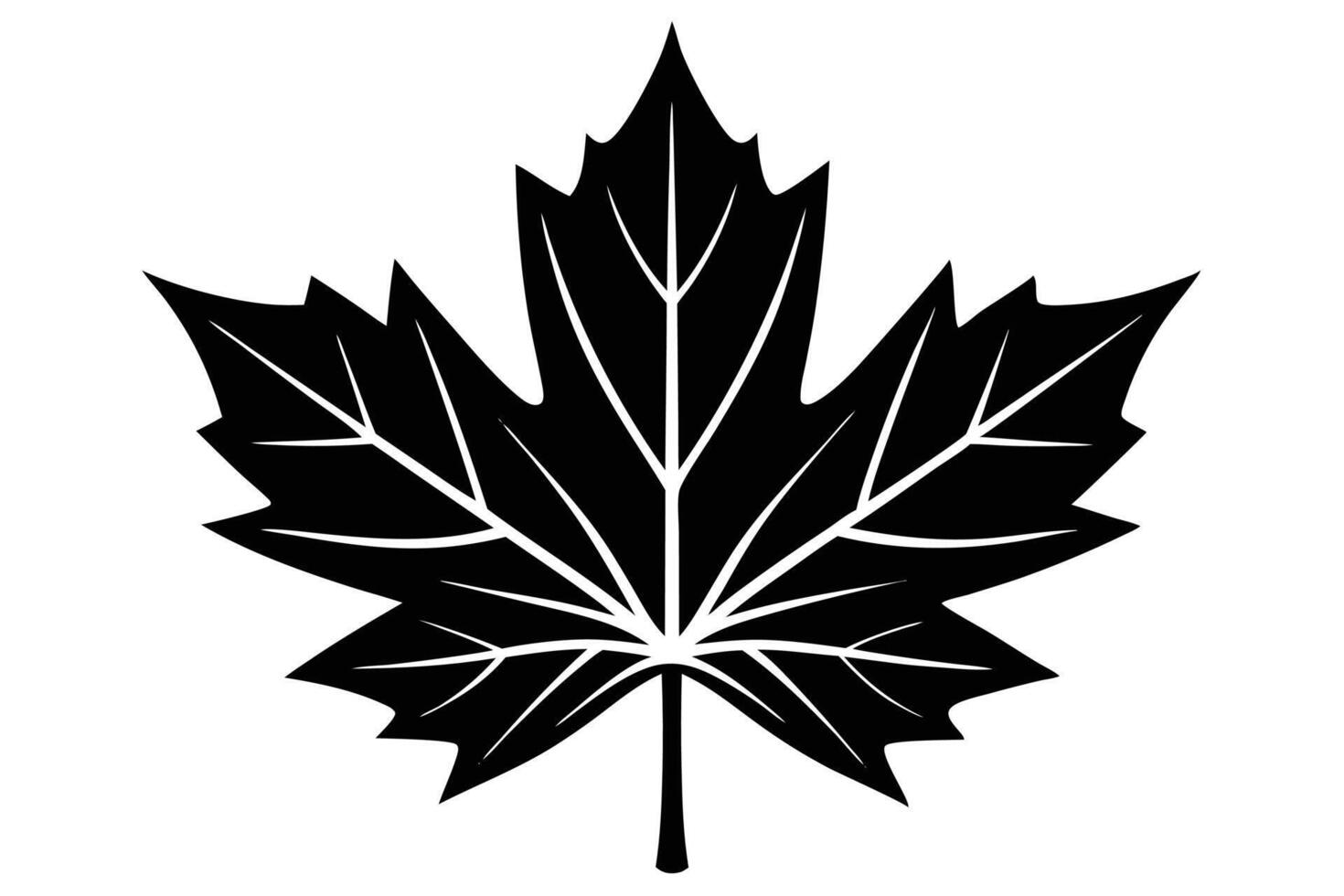 Maple Leaf Silhouette Art Illustration vector