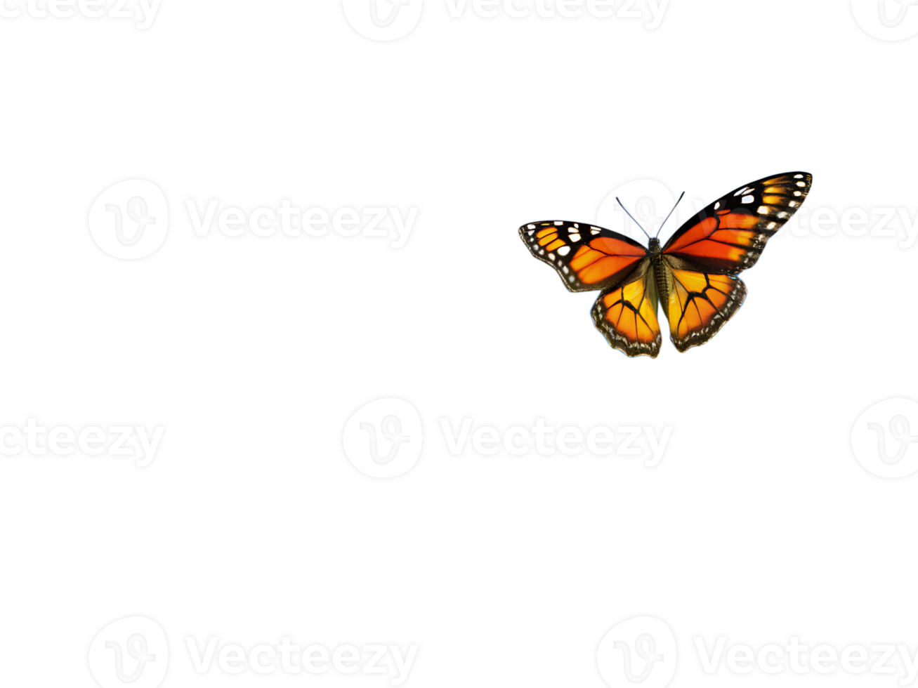 Monarch butterfly in flight, isolated on transparent background. Beautiful and detailed illustration for nature-themed designs and graphics. png