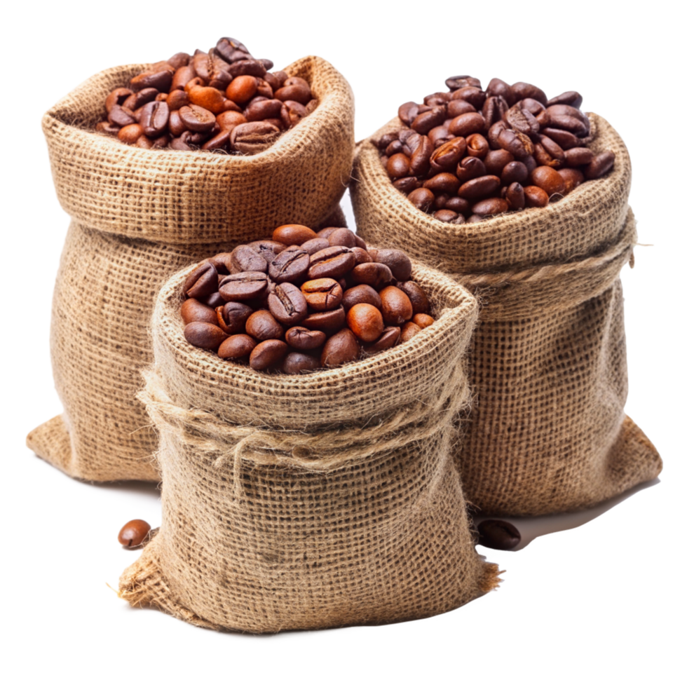 Roasted Coffee Beans in Hemp Sacks Element png