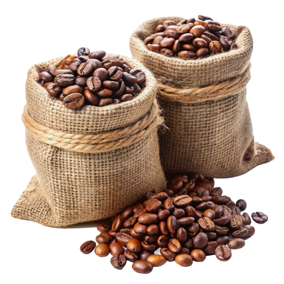 Roasted Coffee Beans in Hemp Sacks Object png