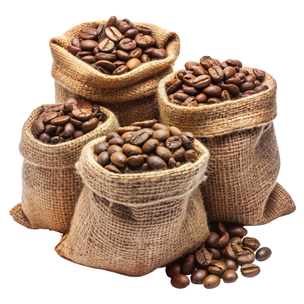 Roasted Coffee Beans in Hemp Sacks Concept png