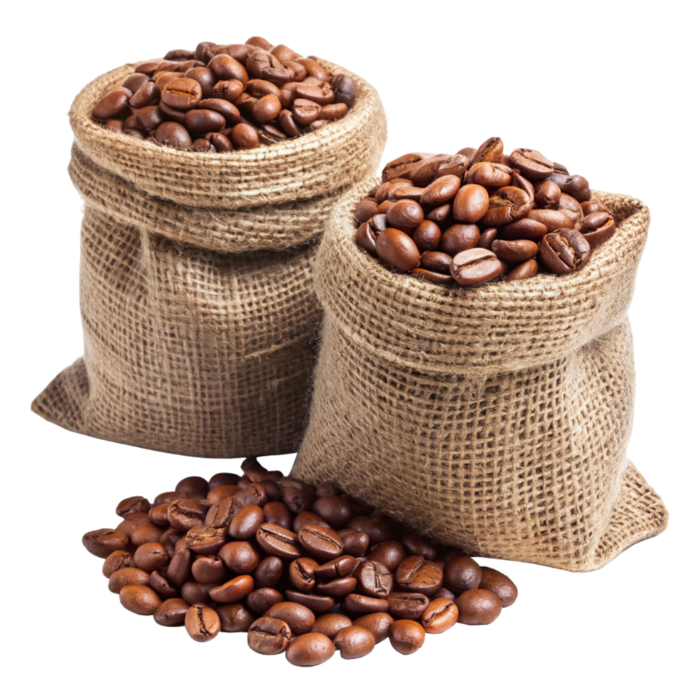 Roasted Coffee Beans in Hemp Sacks Design png
