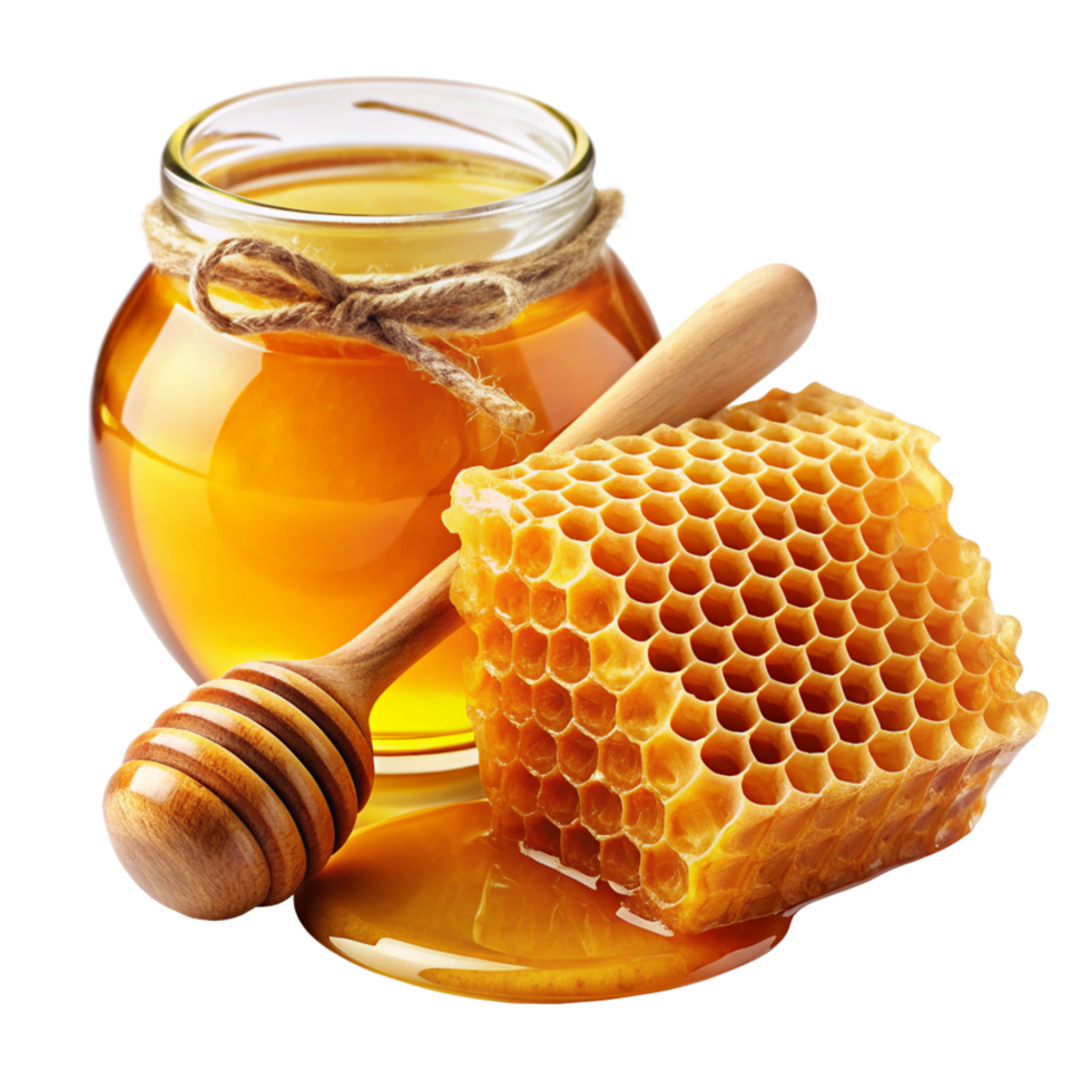 Honey and Honeycomb Realistic png