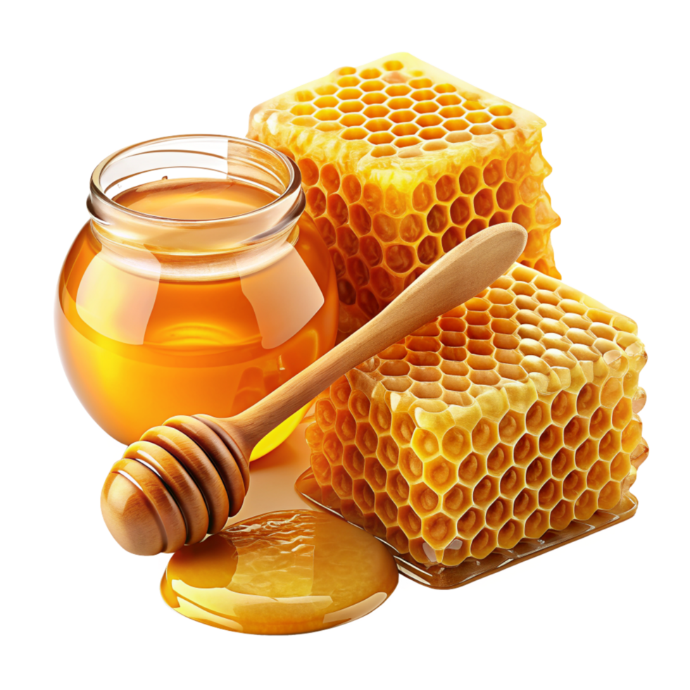 Honey and Honeycomb Realistic Element png