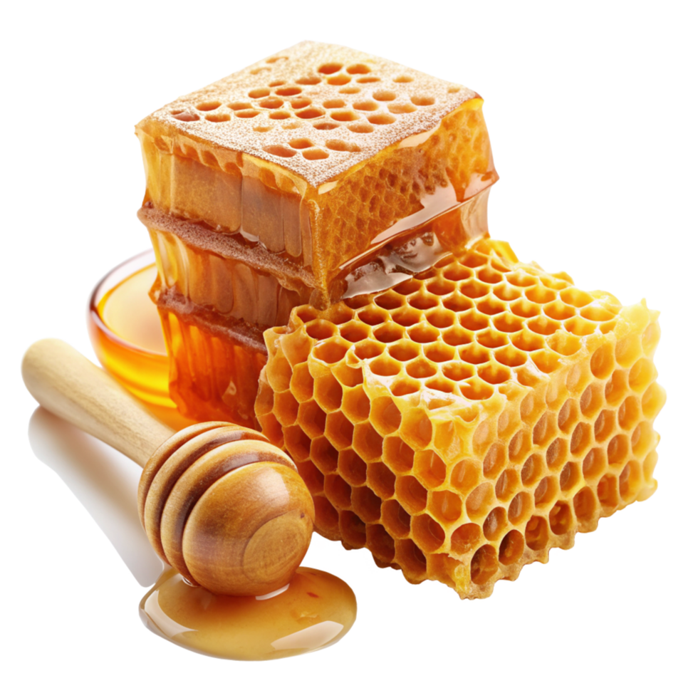 Honey and Honeycomb Realistic Art png
