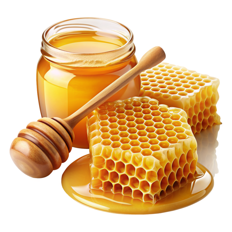 Honey and Honeycomb Realistic Object png