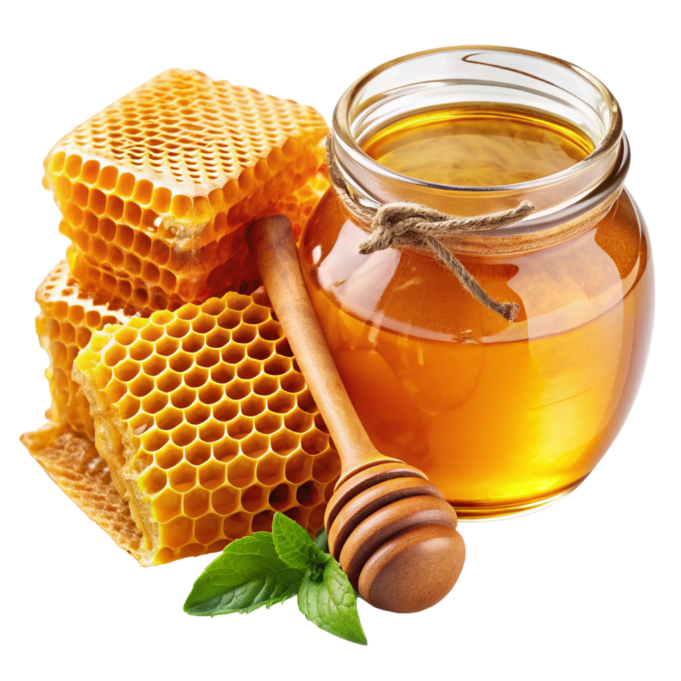 Honey and Honeycomb Realistic Image png