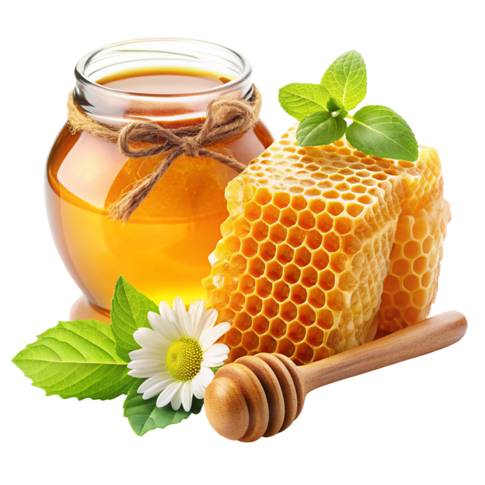 Honey and Honeycomb Realistic Concept png