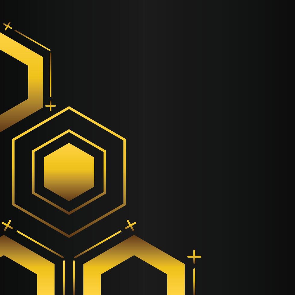 golden hexagon frame corner decoration on black background vector