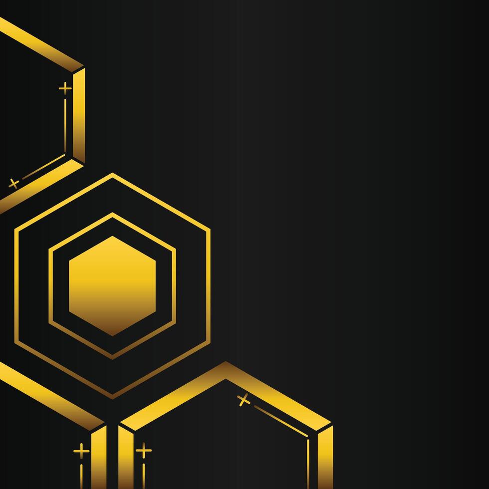 golden hexagon frame corner decoration on black background vector