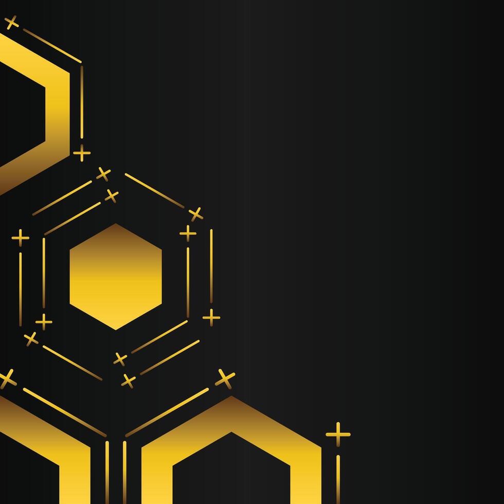golden hexagon frame corner decoration on black background vector