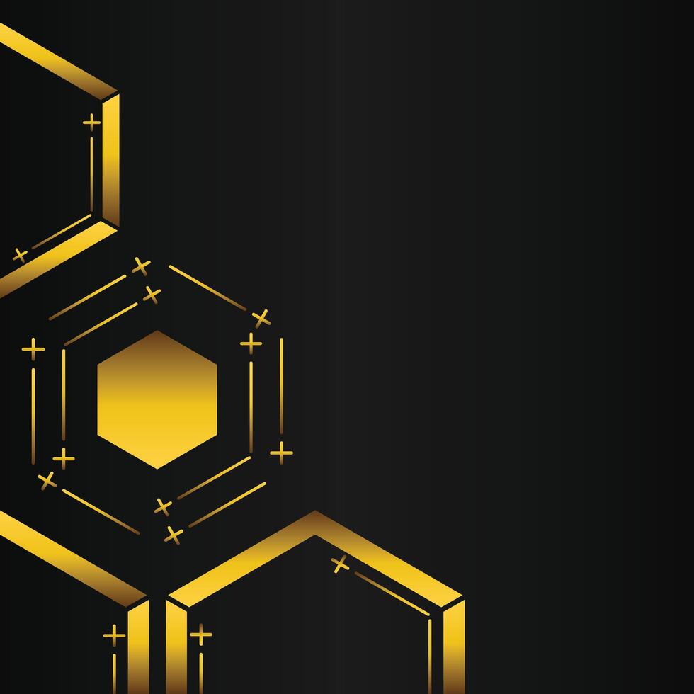 golden hexagon frame corner decoration on black background vector