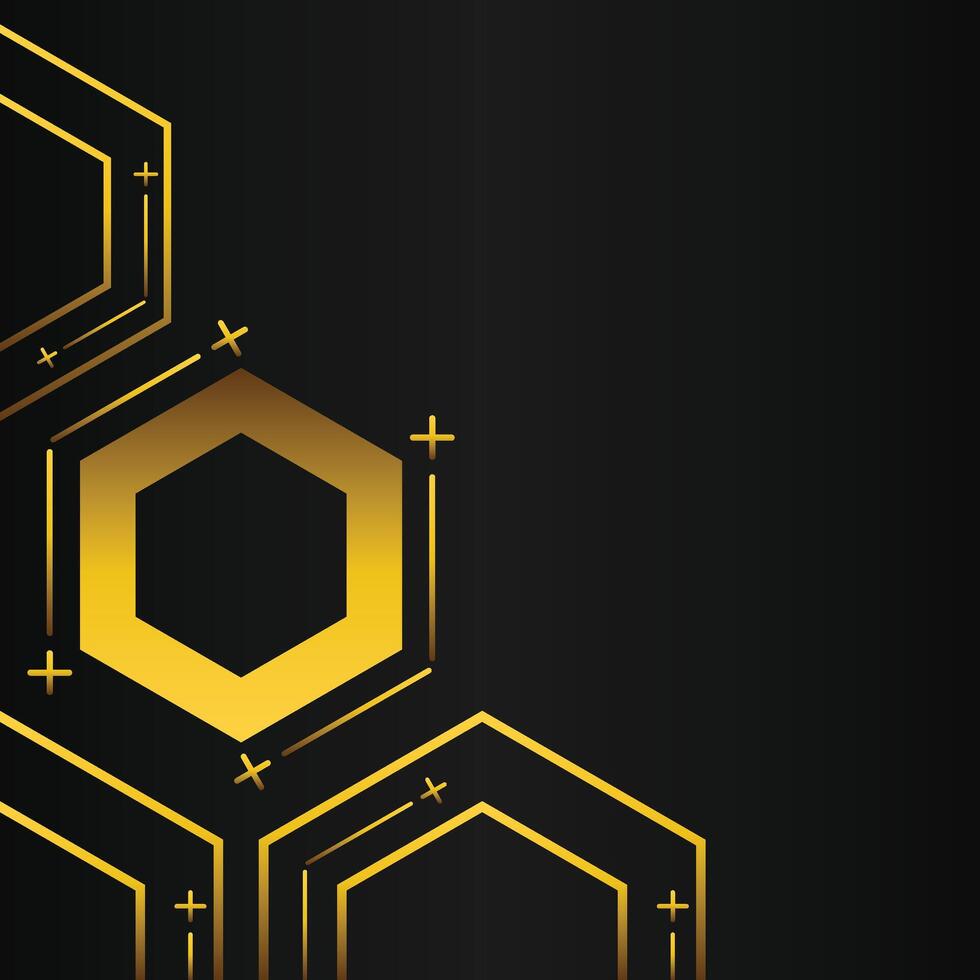 golden hexagon frame corner decoration on black background vector