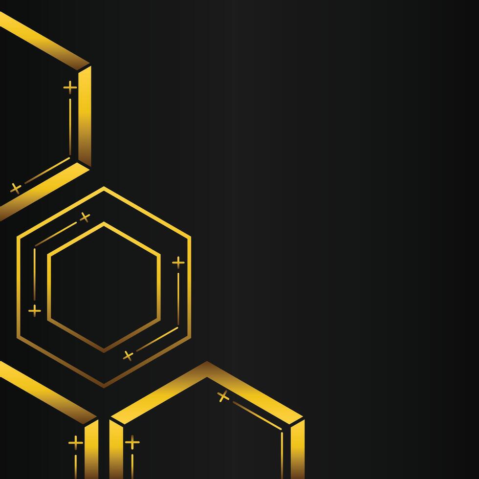 golden hexagon frame corner decoration on black background vector