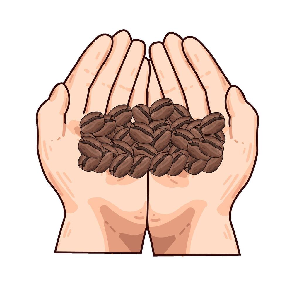Illustration of coffee bean vector