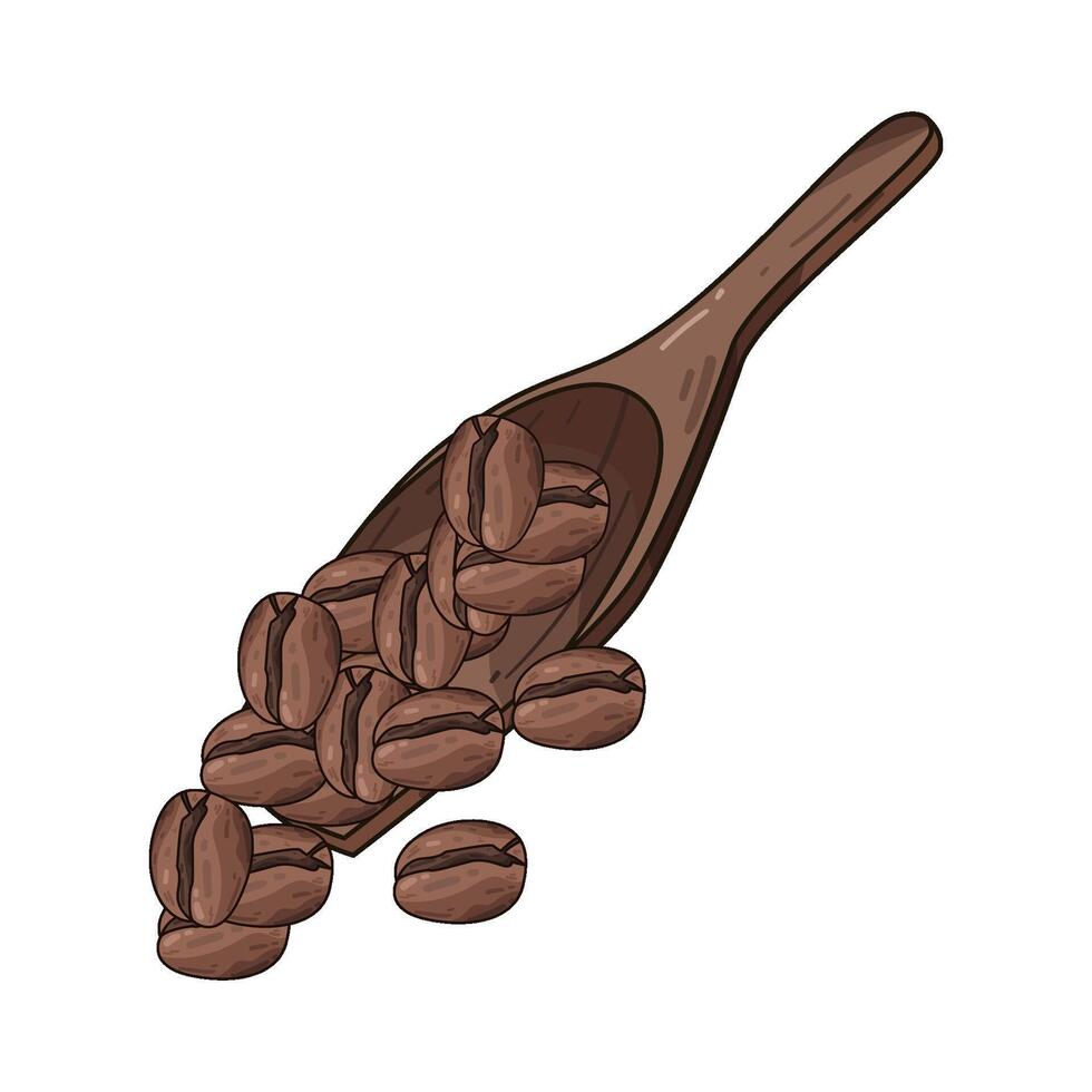 Illustration of coffee bean vector