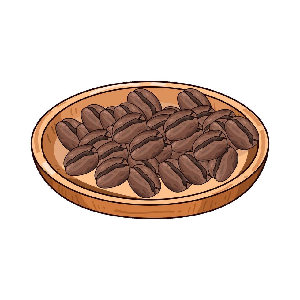 Illustration of coffee bean vector