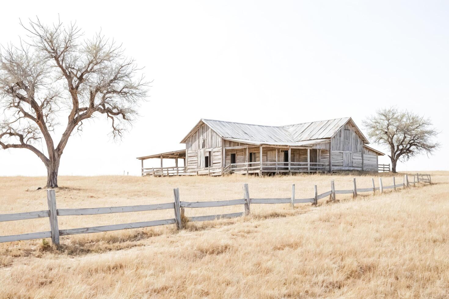 Rustic Charm Abandoned Farmhouse in a Golden Field photo