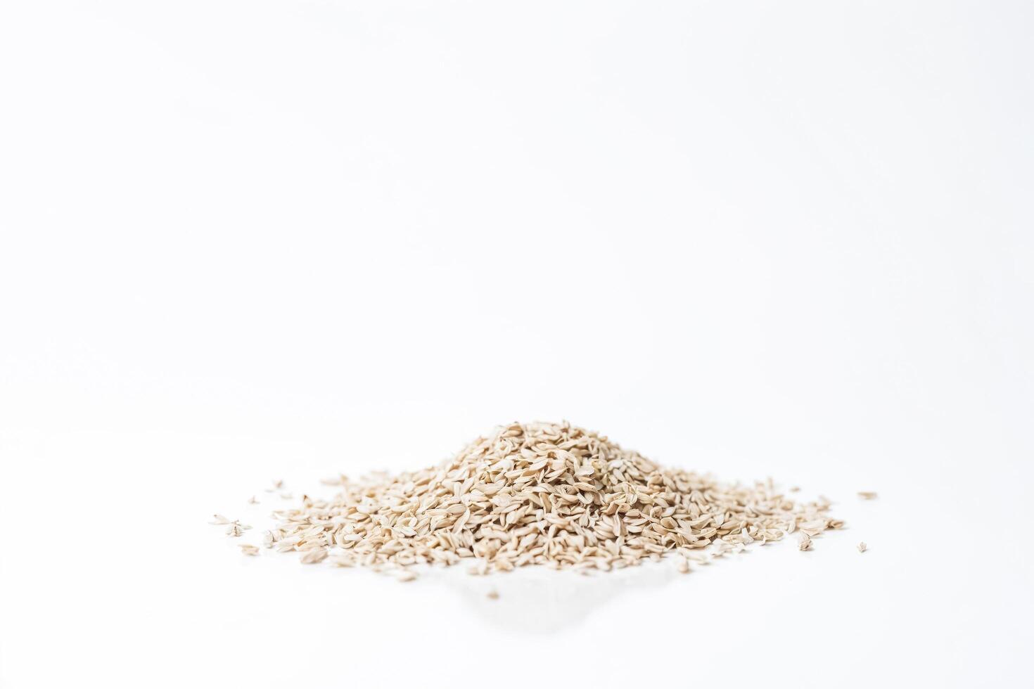 White Flower Seeds on White Background photo