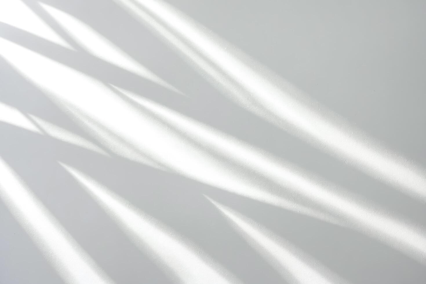 Sunlight Shadows on a White Wall photo