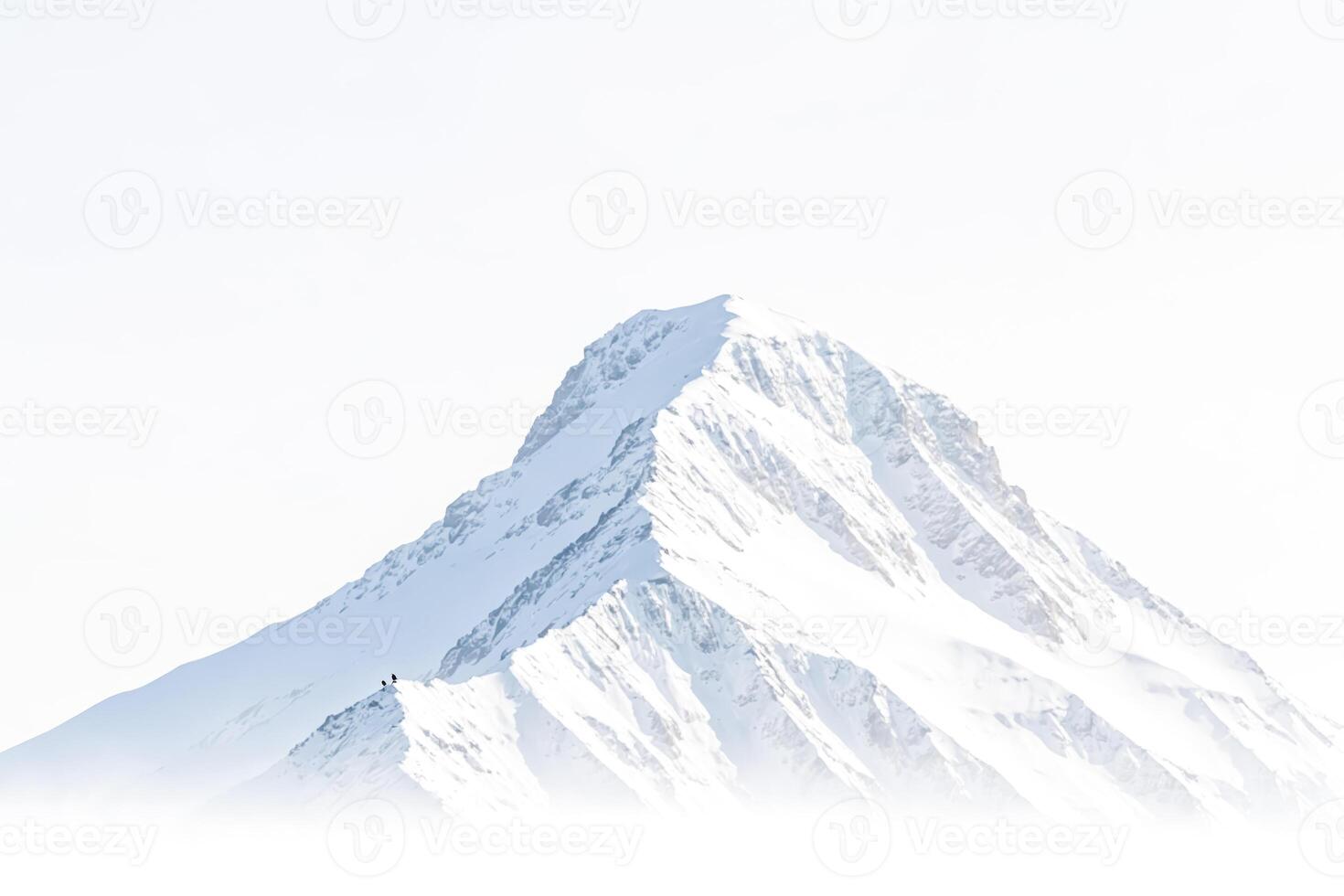 Snowy Mountain Peak with Two Birds photo