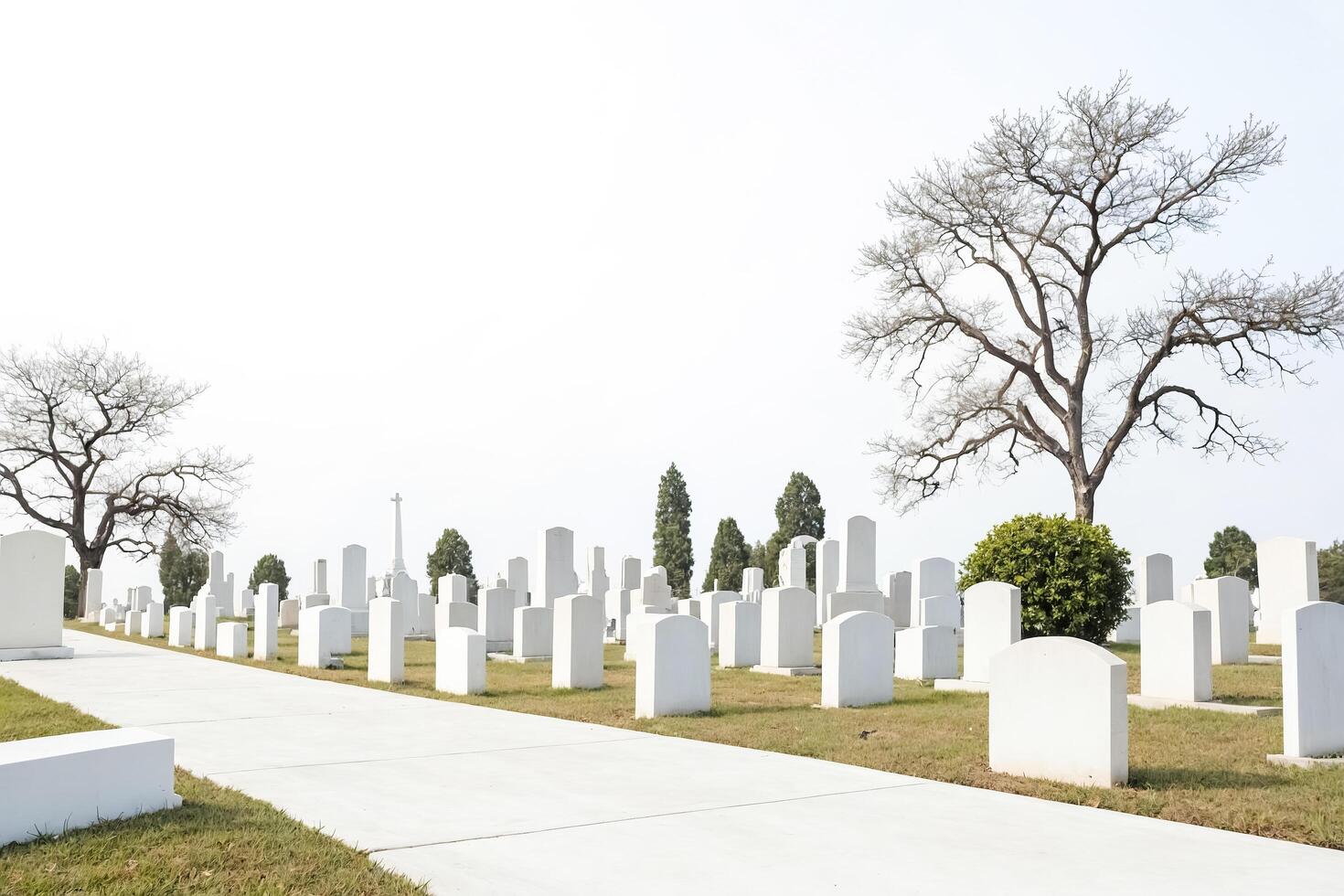 White Cemetery Headstones photo