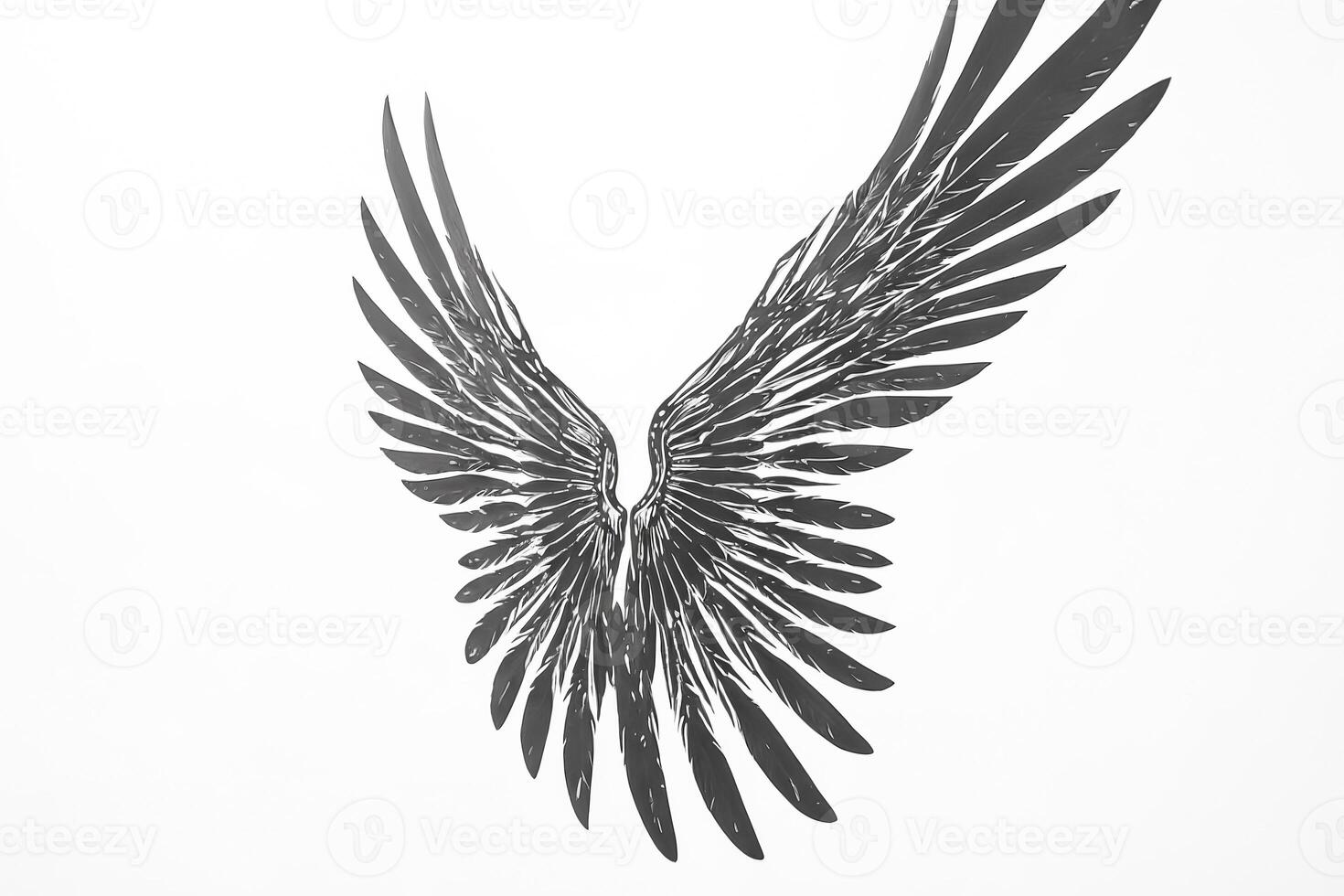 Black Angel Wings on White Background photo