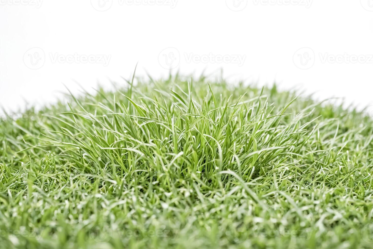 Lush green grass field isolated on white background photo