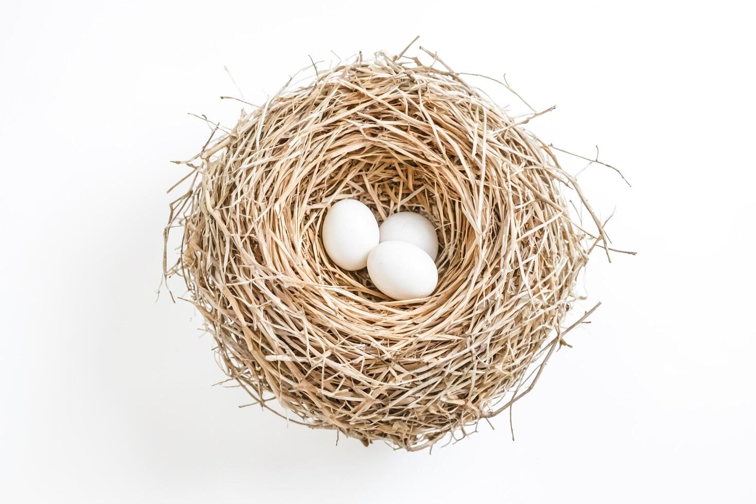 Bird's Nest with Eggs photo